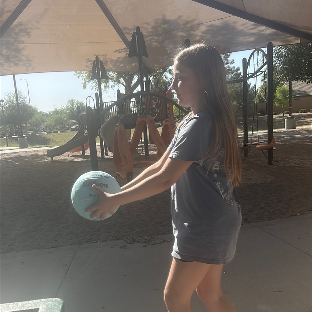 Wilson Blue Volleyball